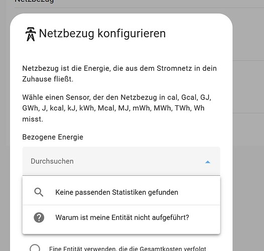 Netzbezug konfigurieren